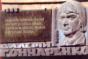 2hmus257m.jpg (9620 bytes)